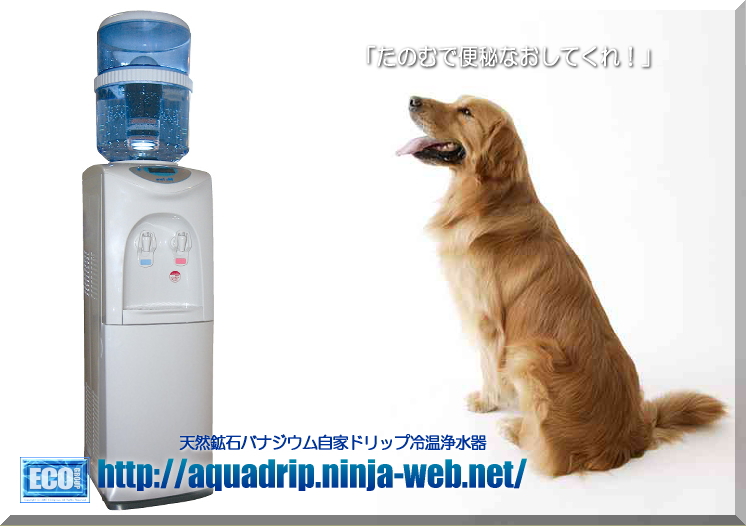 �A�N�A�h���b�vCM�`���A�a�A�֔�A�������ǁE�E�E�����ȏǏ���P�Ɍ��ʂ���ł����`